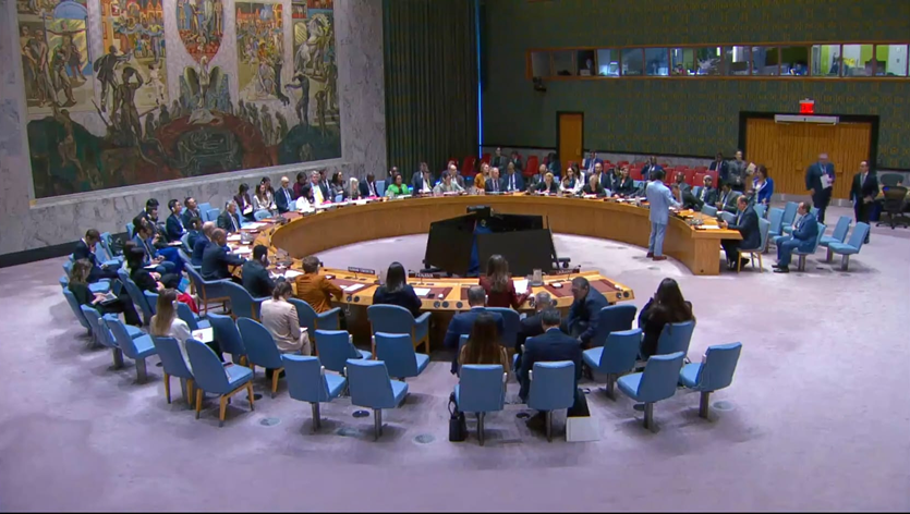 Rusia folosește declarațiile din România în Consiliul de Securitate ONU